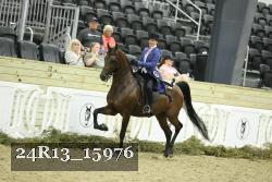 24R13_15976 thumbnail