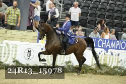 24R13_15978 thumbnail