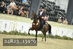 24R13_15979 thumbnail