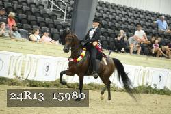 24R13_15980 thumbnail