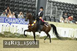 24R13_15981 thumbnail