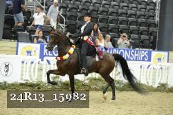 24R13_15982 thumbnail