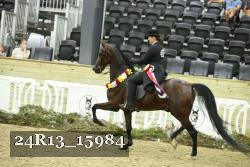 24R13_15984 thumbnail