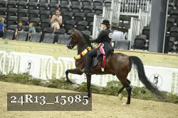 24R13_15985 thumbnail
