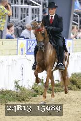 24R13_15989 thumbnail