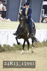 24R13_15991 thumbnail