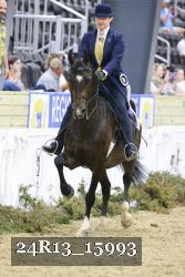 24R13_15993 thumbnail