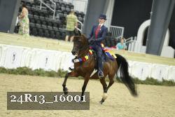 24R13_16001 thumbnail