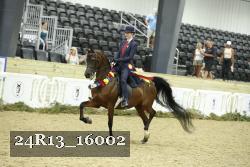 24R13_16002 thumbnail