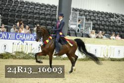 24R13_16003 thumbnail