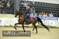 24R13_16004 thumbnail