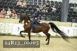 24R13_16005 thumbnail