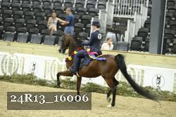 24R13_16006 thumbnail
