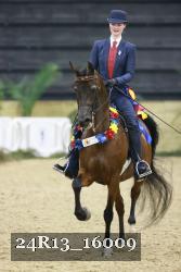 24R13_16009 thumbnail