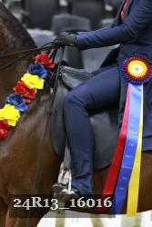 24R13_16016 thumbnail