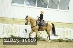 24R13_16018 thumbnail
