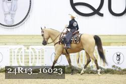24R13_16023 thumbnail