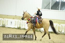 24R13_16044 thumbnail