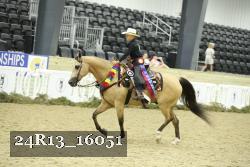 24R13_16051 thumbnail
