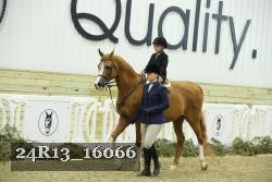 24R13_16066 thumbnail