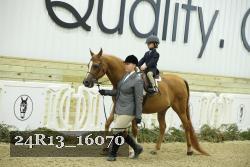 24R13_16070 thumbnail