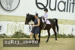 24R13_16080 thumbnail
