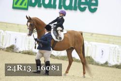 24R13_16081 thumbnail
