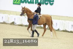 24R13_16086 thumbnail