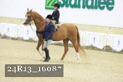 24R13_16087 thumbnail