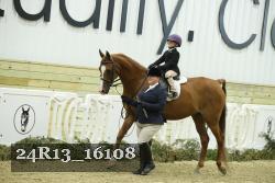 24R13_16108 thumbnail