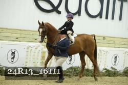 24R13_16111 thumbnail