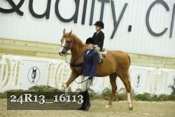 24R13_16113 thumbnail