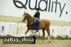 24R13_16114 thumbnail