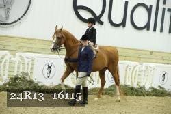 24R13_16115 thumbnail