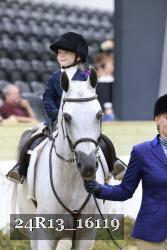 24R13_16119 thumbnail