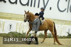 24R13_16120 thumbnail