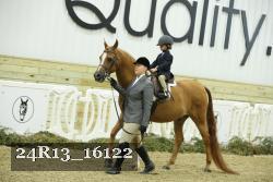 24R13_16122 thumbnail
