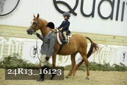24R13_16123 thumbnail
