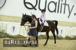 24R13_16134 thumbnail