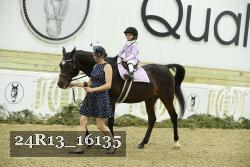 24R13_16135 thumbnail