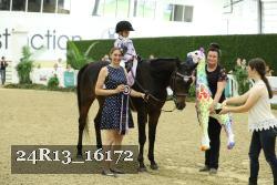 24R13_16172 thumbnail
