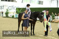 24R13_16174 thumbnail
