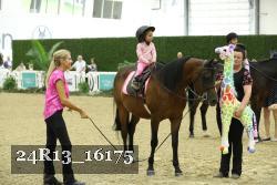 24R13_16175 thumbnail