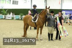 24R13_16179 thumbnail