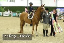 24R13_16181 thumbnail