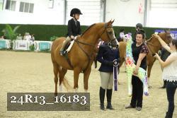 24R13_16183 thumbnail