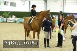 24R13_16184 thumbnail