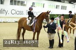 24R13_16187 thumbnail