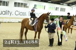 24R13_16188 thumbnail