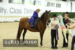 24R13_16190 thumbnail